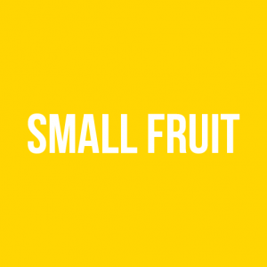 Small Fruit